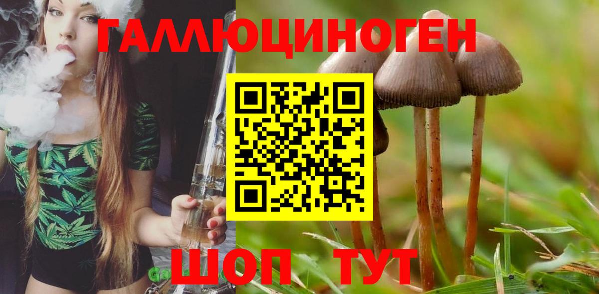 Галлюциногенные грибы прущие грибы  Галлюциногенные грибы MAGIC MUSHROOMS  Вход с VPN  Тара 